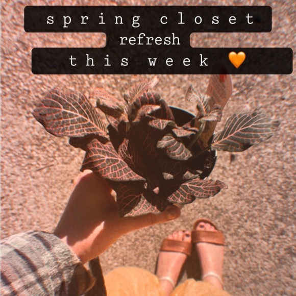 save for later πΏπ± spring closet refresh - Picture 1 of 1